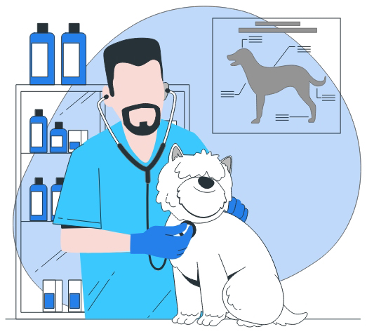 USA Veterinary Hospitals Database